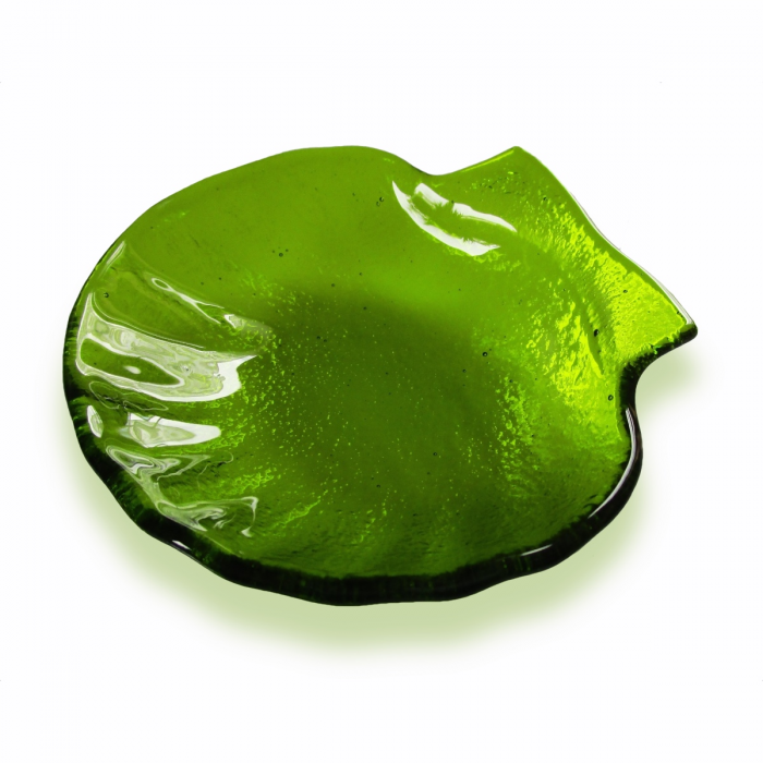 Conchiglia verde chiaro Conchiglia verde chiaro